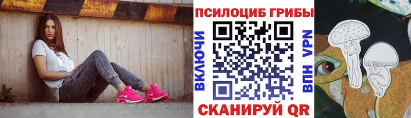 OMG как войти  Конаково  Галлюциногенные грибы MAGIC MUSHROOMS 
